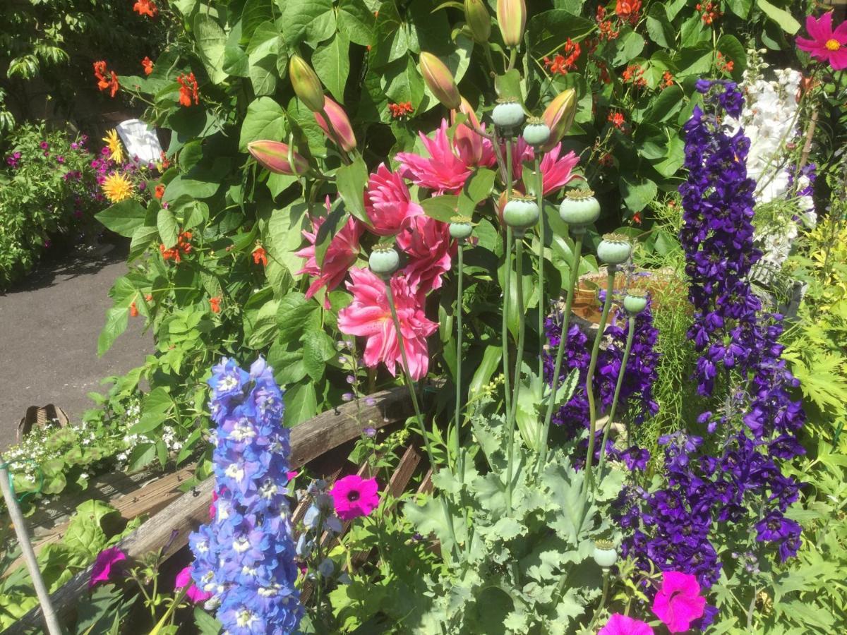 Albertine ,A Warm Welcome Awaits You ,Offering Room Only Or Bed And Breakfast ,Ideal Location For Solent Way ,High Street ,Isle Of Wight ,New Forest 리밍톤 외부 사진